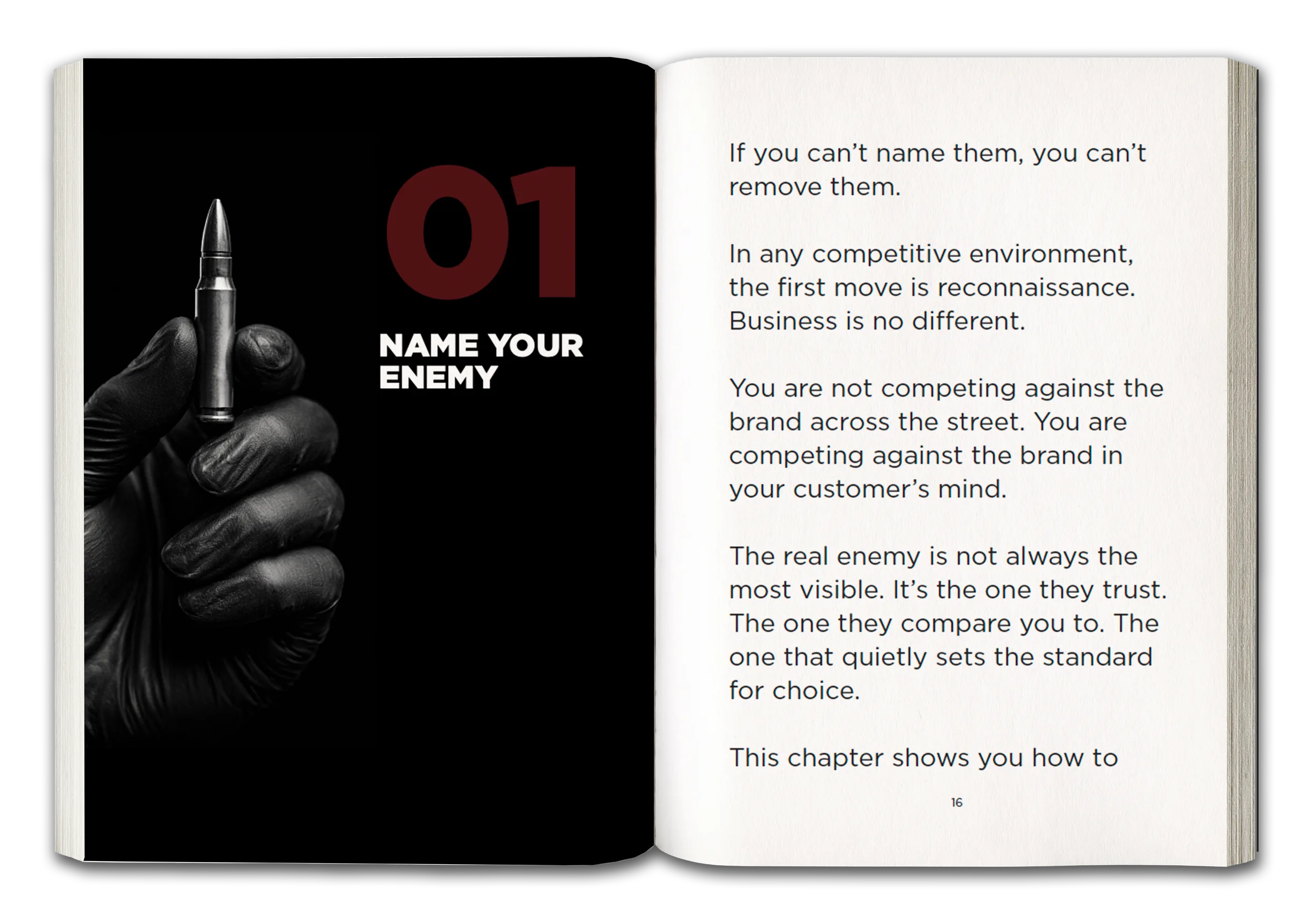 Interior pages from Silver or Lead by Steve Brazell